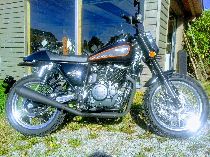 Motorrad kaufen Neufahrzeug MASH Alle (naked)