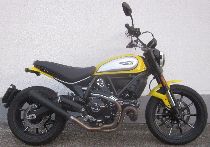 Motorrad kaufen Occasion DUCATI 803 Scrambler (retro)