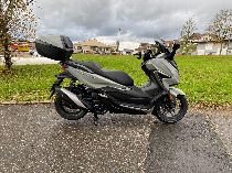 Motorrad kaufen Neufahrzeug HONDA NSS 350 A Forza (roller)