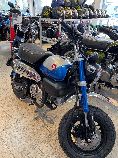 Motorrad kaufen Occasion HONDA Z 125 MA Monkey (naked)