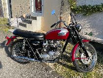  Motorrad kaufen Oldtimer TRIUMPH Bonneville T120 R 650 (sport)