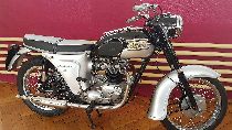  Motorrad kaufen Oldtimer TRIUMPH Thunderbird (sport)