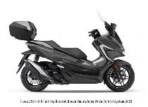  Motorrad kaufen Neufahrzeug HONDA NSS 350 A Forza (roller)