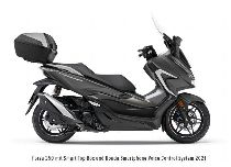 Motorrad kaufen Neufahrzeug HONDA NSS 350 A Forza (roller)