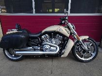 Motorrad kaufen Occasion HARLEY-DAVIDSON VRSCF 1250 V-Rod Muscle ABS (custom)