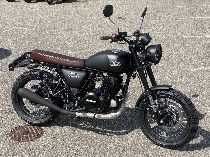 Motorrad kaufen Neufahrzeug MASH New Seventy 125 (retro)