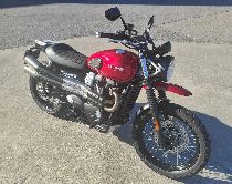 Motorrad kaufen Occasion TRIUMPH Street Scrambler 900 (retro)