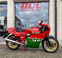 Motorrad kaufen Occasion DUCATI MHR 900 (sport)