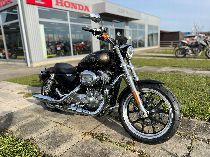 Motorrad kaufen Occasion HARLEY-DAVIDSON XL 883 L Sportster Super Low (custom)