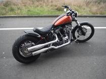 Motorrad kaufen Occasion HARLEY-DAVIDSON FXS 1585 Softail Blackline ABS (custom)