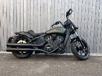  Motorrad kaufen Occasion INDIAN Scout Rogue (custom)