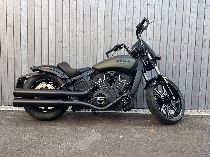 Motorrad kaufen Occasion INDIAN Scout Rogue (custom)