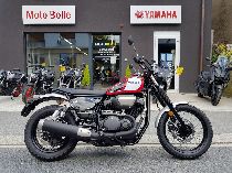Motorrad kaufen Neufahrzeug YAMAHA SCR 950 (retro)