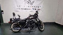 Motorrad kaufen Occasion HARLEY-DAVIDSON XL 883 R Sportster Roadster (custom)