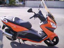 Motorrad kaufen Neufahrzeug MALAGUTI Madison 250 (roller)