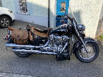 Motorrad kaufen Occasion YAMAHA XV 1600 Wild Star (custom)