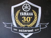 Motorrad kaufen Occasion YAMAHA YP 250 R X-Max ABS (roller)