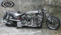 Acheter une moto Oldtimer HARLEY-DAVIDSON Twin Engine Top Fuel Dragster (sport)