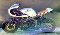 Motorrad kaufen Occasion TRIUMPH Speed Triple 1050 (naked)