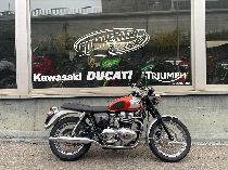 Motorrad kaufen Occasion TRIUMPH Bonneville T100 900 (retro)