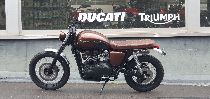 Motorrad kaufen Occasion TRIUMPH Scrambler 900 (retro)