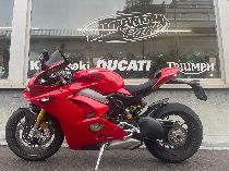 Motorrad kaufen Occasion DUCATI 1103 Panigale V4 (sport)