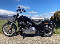 Motorrad kaufen Neufahrzeug HARLEY-DAVIDSON FXST 1745 Softail Standard 107 (custom)
