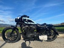 Motorrad kaufen Occasion HARLEY-DAVIDSON XL 1200 N Sportster Nightster (custom)