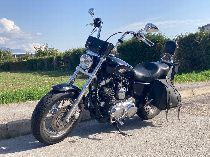 Motorrad kaufen Occasion HARLEY-DAVIDSON XL 1200 C Sportster Custom (custom)