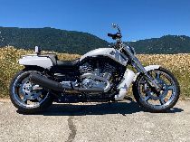 Motorrad kaufen Occasion HARLEY-DAVIDSON VRSCF 1250 V-Rod Muscle ABS (custom)