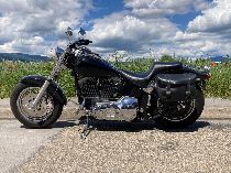 Motorrad kaufen Occasion HARLEY-DAVIDSON FXST 1340 Softail Standard (custom)