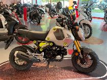 Motorrad kaufen Neufahrzeug HONDA MSX 125 (naked)