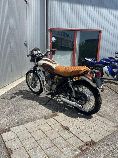 Motorrad kaufen Occasion MASH Five Hundred (retro)