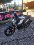 Motorrad kaufen Neufahrzeug MALAGUTI Drakon 125 (naked)