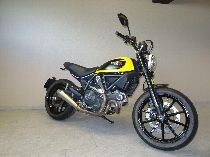 Motorrad kaufen Occasion DUCATI 803 Scrambler (retro)