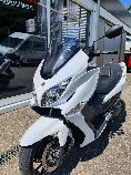 Motorrad kaufen Occasion SUZUKI AN 400 Burgman (roller)