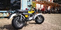 Motorrad kaufen Occasion SKYTEAM T-Rex 125 (retro)