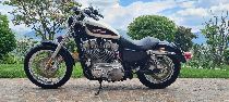  Motorrad kaufen Occasion HARLEY-DAVIDSON XL 883 Sportster (custom)