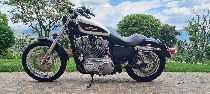 Aquista moto Occasioni HARLEY-DAVIDSON XL 883 Sportster (custom)