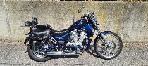 Acheter une moto Occasions SUZUKI VS 800 GL Intruder (custom)