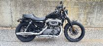 Motorrad kaufen Occasion HARLEY-DAVIDSON XL 1200 N Sportster Nightster (custom)