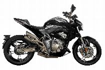 Motorrad kaufen Neufahrzeug ZONTES ZT 310 R (naked)