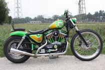 Motorrad kaufen Occasion HARLEY-DAVIDSON XL 883 53C Sportster (custom)