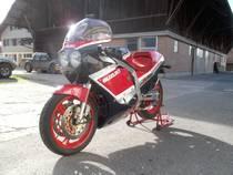 Motorrad kaufen Occasion SUZUKI GSX-R 1100 (sport)