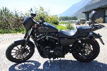 Motorrad kaufen Occasion HARLEY-DAVIDSON XL 883 N Iron ABS (custom)