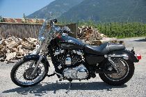 Motorrad kaufen Occasion HARLEY-DAVIDSON XL 1200 C Sportster Custom (custom)