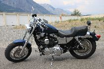 Motorrad kaufen Occasion HARLEY-DAVIDSON XL 1200 C Sportster Custom (custom)