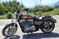 Motorrad kaufen Occasion HARLEY-DAVIDSON XL 883 L Sportster Low (custom)