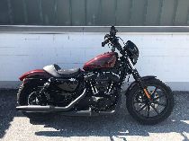 Motorrad kaufen Occasion HARLEY-DAVIDSON XL 1200 NS Sportster Iron (custom)