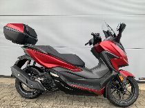 Motorrad kaufen Neufahrzeug HONDA NSS 125 AD Forza (roller)